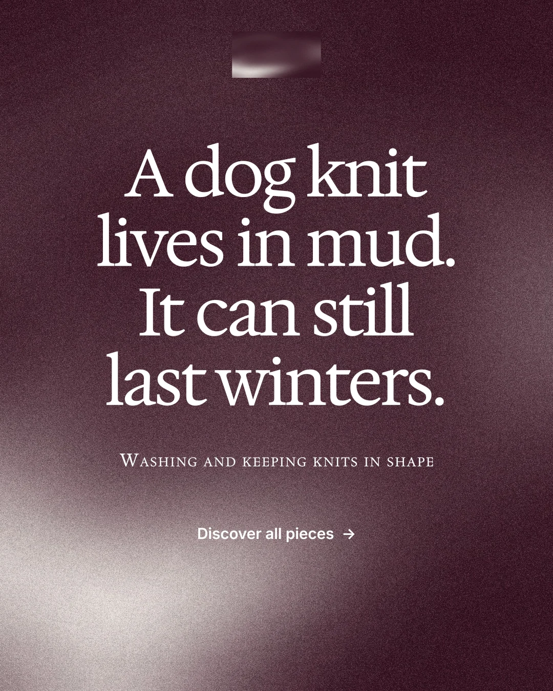 Instagram portrait post for By Teddy: "A dog knit lives in mud. It can still last winters." Cyanotype style, smallcaps layout, dark palette in grey, pink, red.