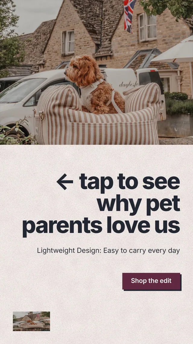 Instagram story for By Teddy: "← tap to see why pet parents love us". Paper trio style, right layout, light palette in orange, grey, white.