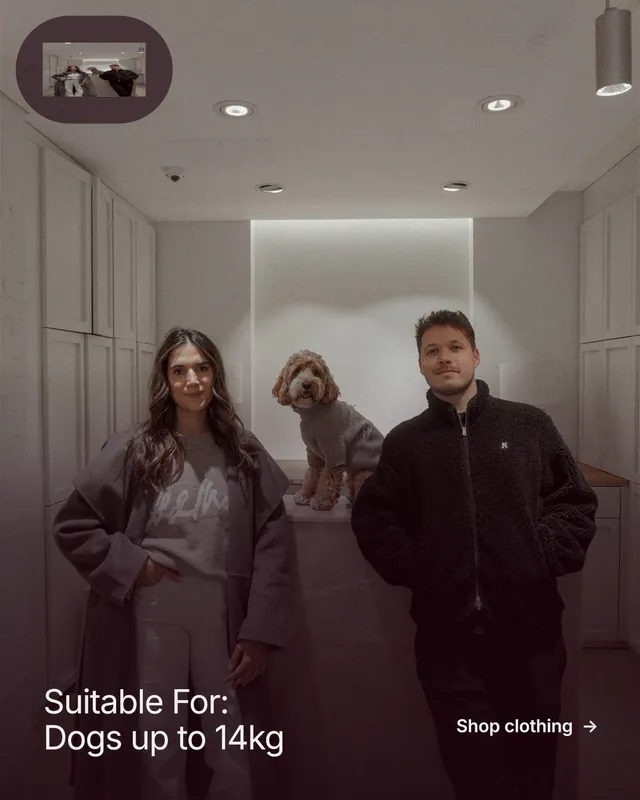 Instagram portrait post for By Teddy: "Suitable For: Dogs up to 14kg". Film still style, image led layout, dark palette in black, grey.