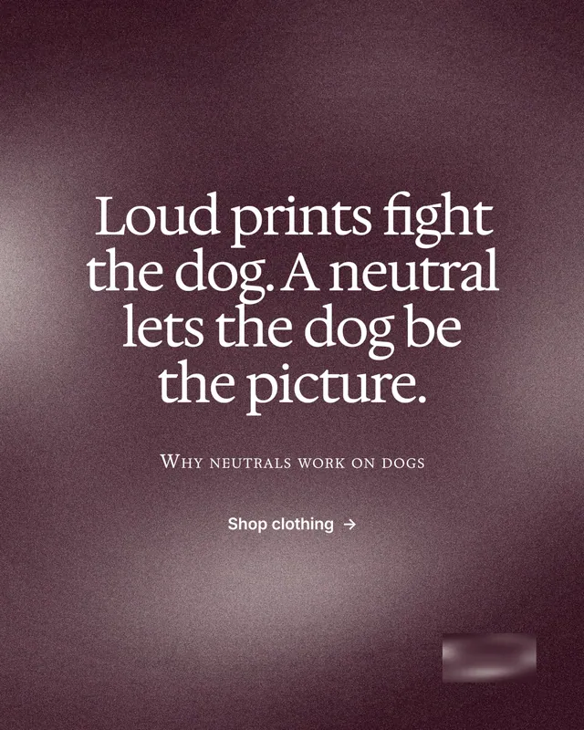 Instagram portrait post for By Teddy: "Loud prints fight the dog. A neutral lets the dog be the picture." Cyanotype style, smallcaps layout, dark palette in red, grey.