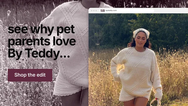 Landscape graphic for By Teddy: "see why pet parents love By Teddy..." Swiss style, browser layout, light palette in black, grey.