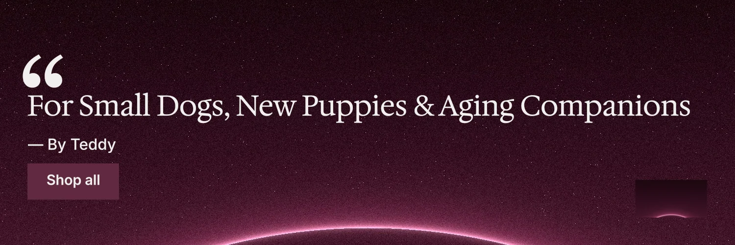 X header for By Teddy: "For Small Dogs, New Puppies & Aging Companions". Swiss style, quote layout, dark palette in pink, black.