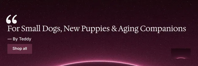 X header for By Teddy: "For Small Dogs, New Puppies & Aging Companions". Swiss style, quote layout, dark palette in pink, black.