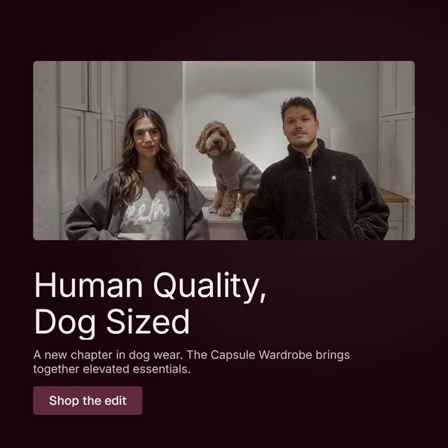 Video for By Teddy: "Human Quality, Dog Sized". Doc motion loop, 8.0 s, dark palette.