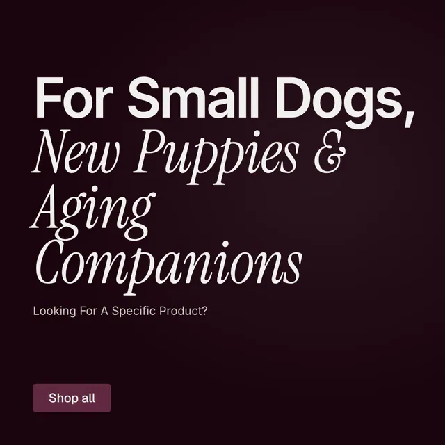 Video for By Teddy: "For Small Dogs, New Puppies & Aging Companions". Doc motion loop, 6.0 s, dark palette.