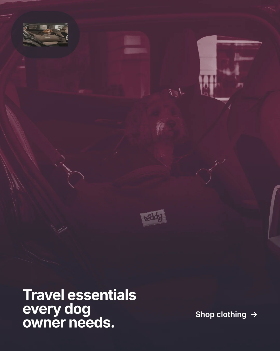 Instagram portrait post for By Teddy: "Travel essentials every dog owner needs." Retro print style, image led layout, dark palette in pink, black, grey.