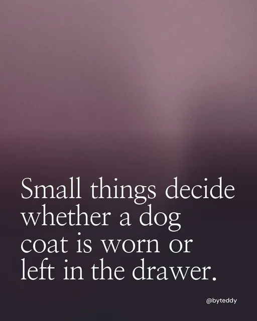 Video for By Teddy: "Small things decide whether a dog coat is worn or left in the drawer.". Shader loop, 6.0 s, dark palette.
