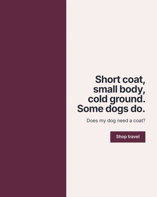 Instagram portrait post for By Teddy: "Short coat, small body, cold ground. Some dogs do." Swiss style, right layout, light palette in white, red.