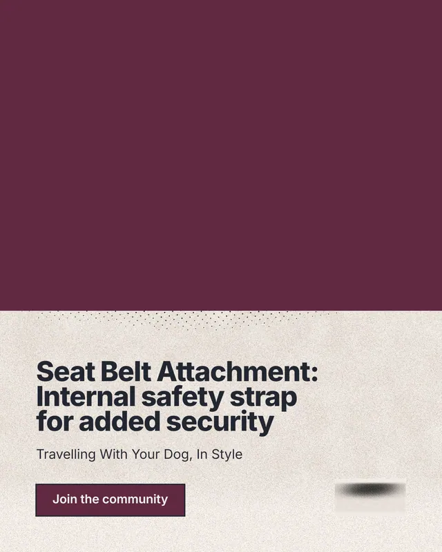 Instagram portrait post for By Teddy: "Seat Belt Attachment: Internal safety strap for added security". Ink sticker style, bottom layout, light palette in red, orange.