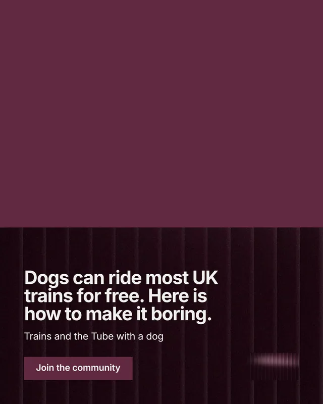 Instagram portrait post for By Teddy: "Dogs can ride most UK trains for free. Here is how to make it boring." Swiss style, bottom layout, dark palette in red, black.