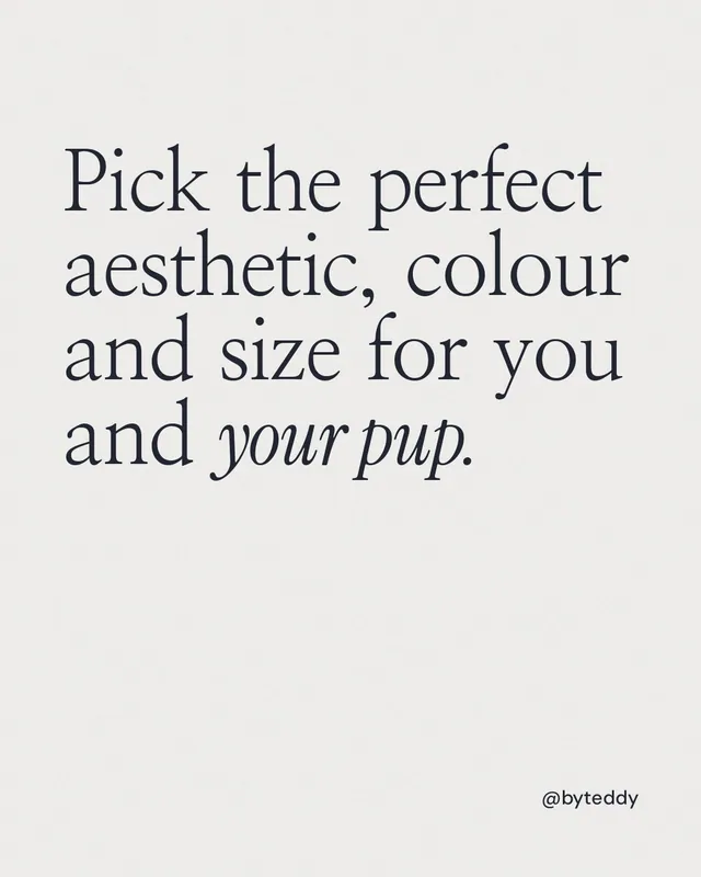 Instagram portrait post for By Teddy: "Pick the perfect aesthetic, colour and size for you and your pup." Editorial style, technique:mixed type lockup layout, light palette in white.