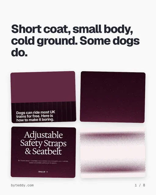 Carousel for By Teddy: "Short coat, small body, cold ground. Some dogs do.". Collection carousel, 8 slides, light palette.