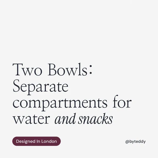 Instagram post for By Teddy: "Two Bowls: Separate compartments for water and snacks". Caption style, technique:mixed type lockup layout, light palette in white, grey.