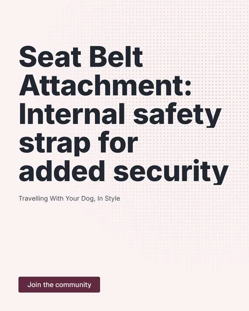 Video for By Teddy: "Seat Belt Attachment: Internal safety strap for added security". Doc motion loop, 7.0 s, light palette.