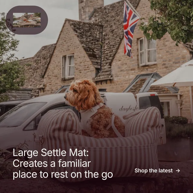 Instagram post for By Teddy: "Large Settle Mat: Creates a familiar place to rest on the go". Film still style, image led layout, dark palette in red, grey.
