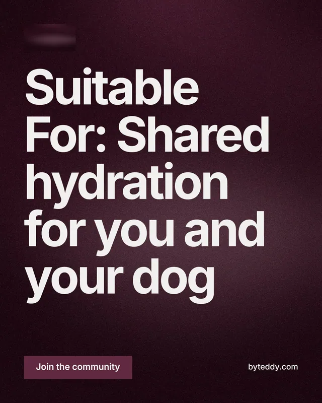Instagram portrait post for By Teddy: "Suitable For: Shared hydration for you and your dog". Swiss style, poster layout, dark palette in black, pink, grey.