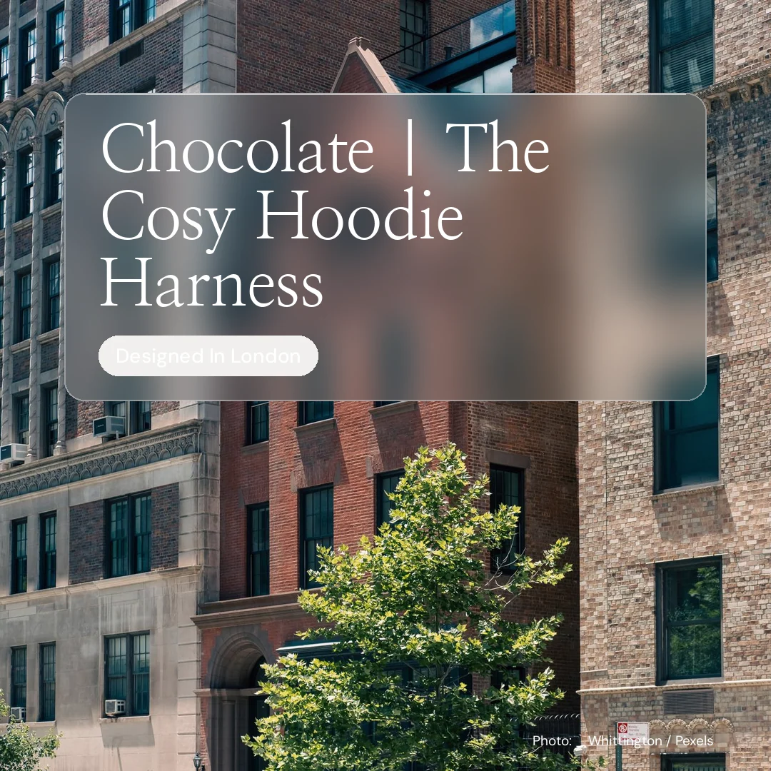 Instagram post for By Teddy: "Chocolate | The Cosy Hoodie Harness". Glass style, technique:pexels ingredient layout, dark palette in grey, black.