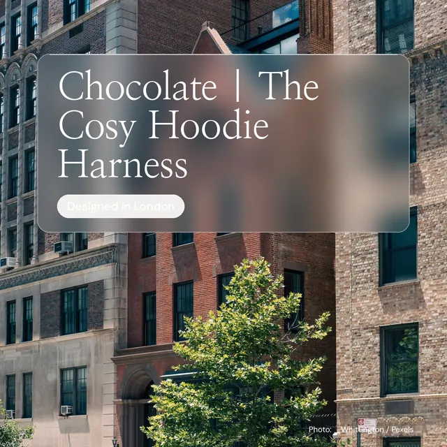 Instagram post for By Teddy: "Chocolate | The Cosy Hoodie Harness". Glass style, technique:pexels ingredient layout, dark palette in grey, black.