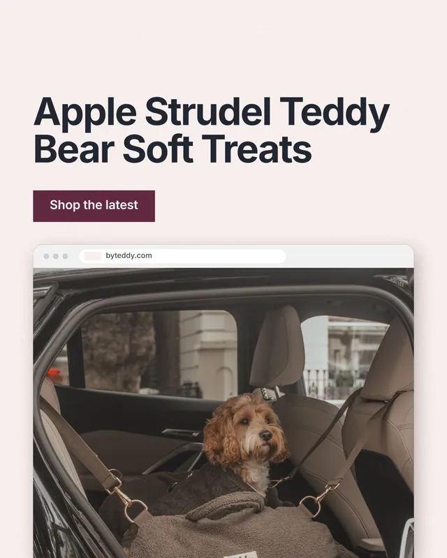 Instagram portrait post for By Teddy: "Apple Strudel Teddy Bear Soft Treats". Swiss style, browser layout, light palette in white, black, grey.