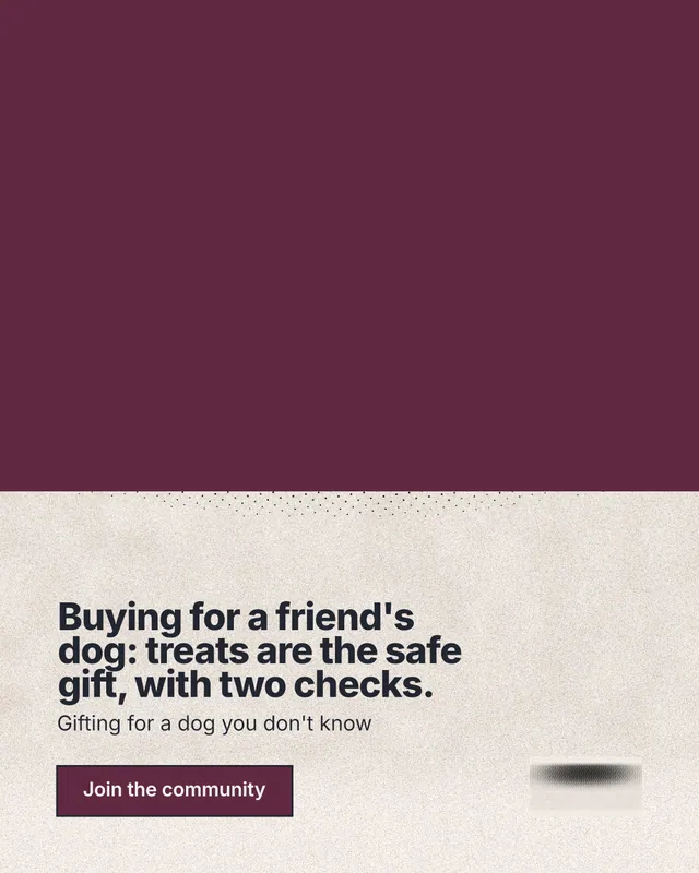 Instagram portrait post for By Teddy: "Buying for a friend's dog: treats are the safe gift, with two checks." Ink sticker style, bottom layout, light palette in red, orange.
