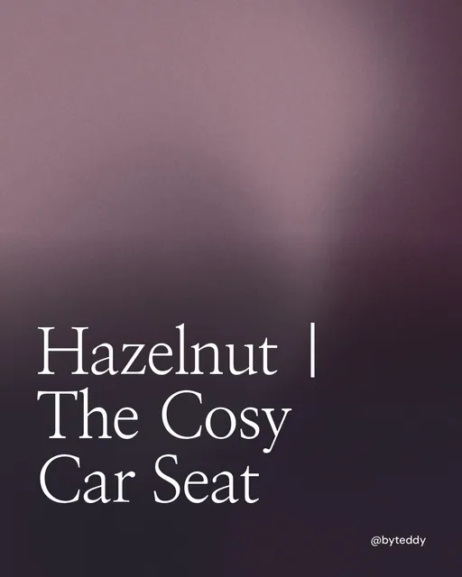Video for By Teddy: "Hazelnut | The Cosy Car Seat". Shader loop, 6.0 s, dark palette.