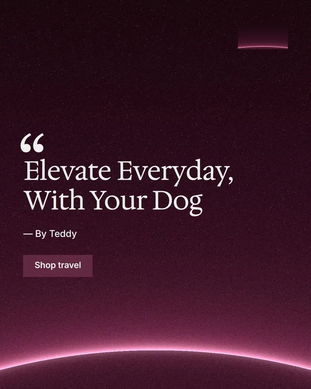 Instagram portrait post for By Teddy: "Elevate Everyday, With Your Dog". Swiss style, quote layout, dark palette in black, pink.