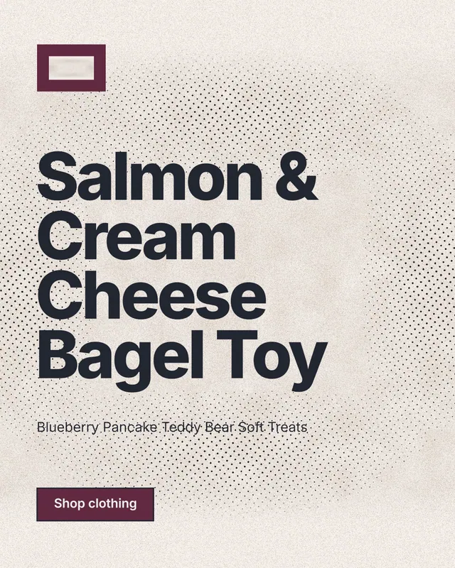 Instagram portrait post for By Teddy: "Salmon & Cream Cheese Bagel Toy". Ink sticker style, announce layout, light palette in white, orange, grey.