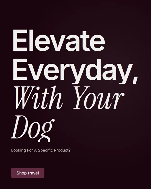 Video for By Teddy: "Elevate Everyday, With Your Dog". Doc motion loop, 8.0 s, dark palette.