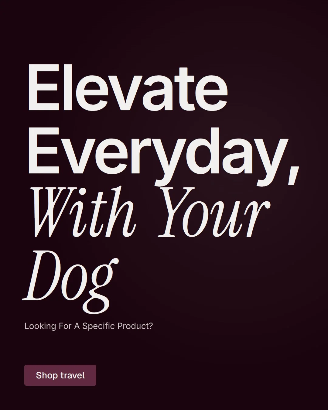 Video for By Teddy: "Elevate Everyday, With Your Dog". Doc motion loop, 6.0 s, dark palette.