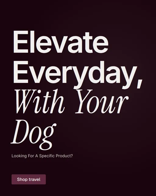 Video for By Teddy: "Elevate Everyday, With Your Dog". Doc motion loop, 6.0 s, dark palette.