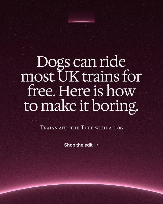 Instagram portrait post for By Teddy: "Dogs can ride most UK trains for free. Here is how to make it boring." Swiss style, smallcaps layout, dark palette in pink, black.