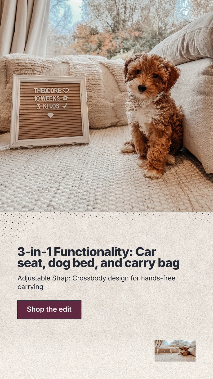 Instagram story for By Teddy: "3-in-1 Functionality: Car seat, dog bed, and carry bag". Ink sticker style, bottom layout, light palette in grey, orange, white.