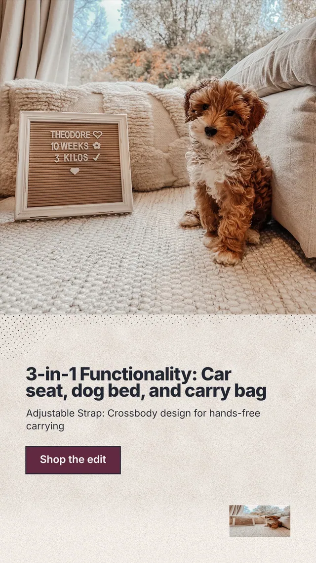 Instagram story for By Teddy: "3-in-1 Functionality: Car seat, dog bed, and carry bag". Ink sticker style, bottom layout, light palette in grey, orange, white.