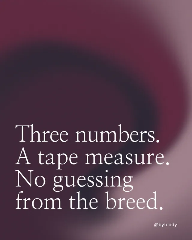 Instagram portrait post for By Teddy: "Three numbers. A tape measure. No guessing from the breed." Auto 4x5 style, technique:shader field layout, dark palette in pink, black, grey.