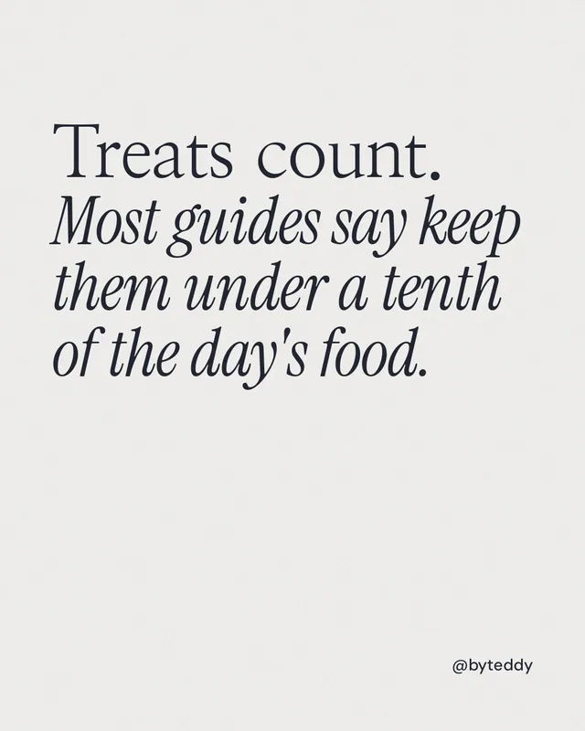 Instagram portrait post for By Teddy: "Treats count. Most guides say keep them under a tenth of the day's food." Editorial style, technique:mixed type lockup layout, light palette in white.