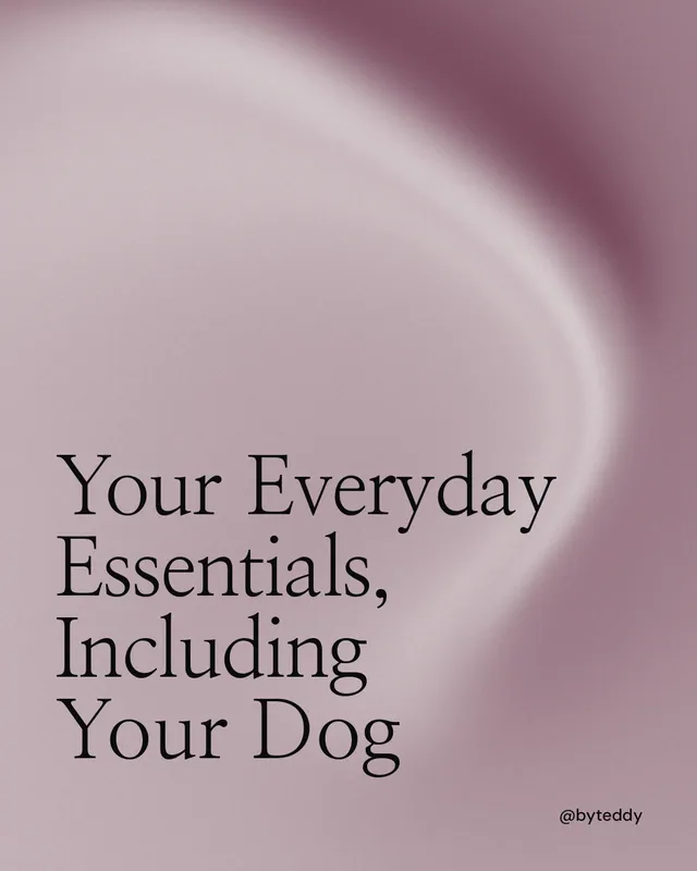 Instagram portrait post for By Teddy: "Your Everyday Essentials, Including Your Dog". Auto 4x5 style, technique:shader field layout, light palette in grey.