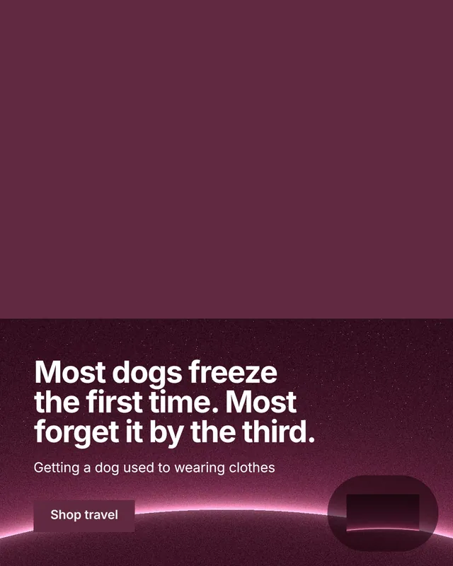 Instagram portrait post for By Teddy: "Most dogs freeze the first time. Most forget it by the third." Swiss style, bottom layout, dark palette in red, pink.