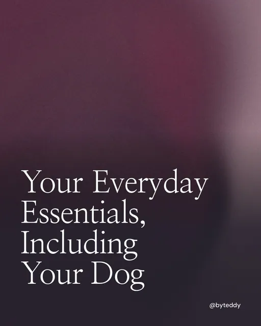 Video for By Teddy: "Your Everyday Essentials, Including Your Dog". Shader loop, 6.0 s, dark palette.