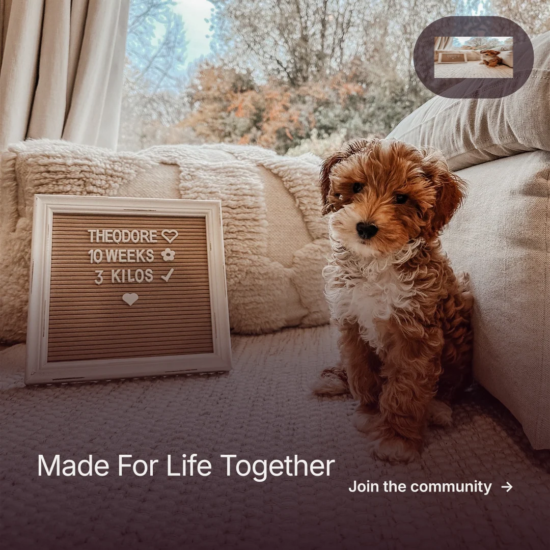 Instagram post for By Teddy: "Made For Life Together". Film still style, image led layout, dark palette in red, grey.
