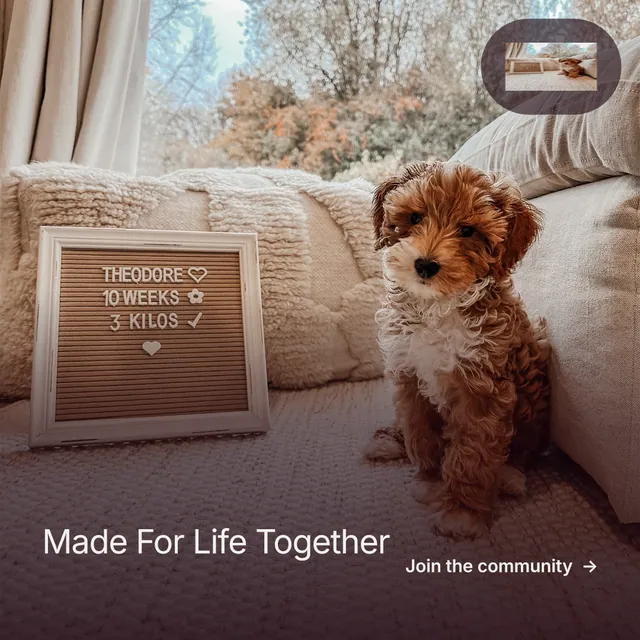 Instagram post for By Teddy: "Made For Life Together". Film still style, image led layout, dark palette in red, grey.