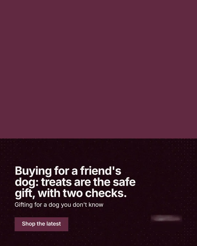 Instagram portrait post for By Teddy: "Buying for a friend's dog: treats are the safe gift, with two checks." Swiss style, bottom layout, dark palette in red, black.