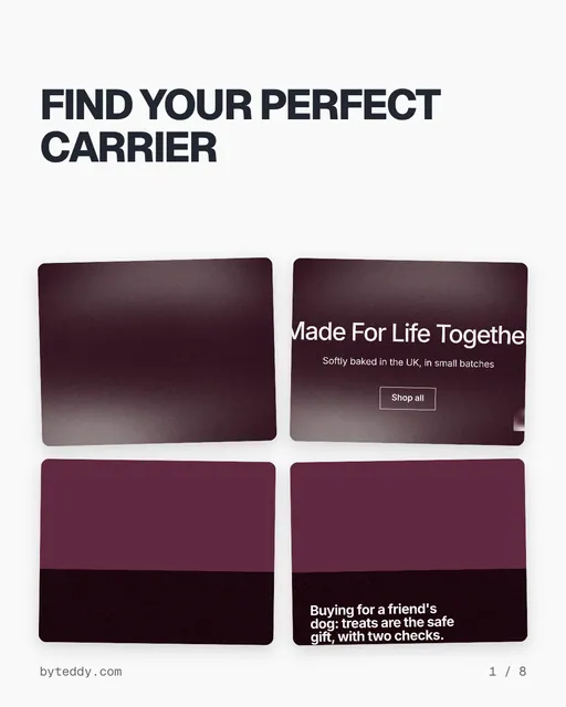 Carousel for By Teddy: "FIND YOUR PERFECT CARRIER". Collection carousel, 8 slides, light palette.