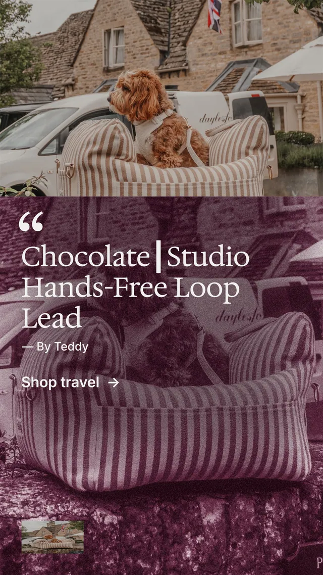 Instagram story for By Teddy: "Chocolate┃Studio Hands-Free Loop Lead". Film still style, quote layout, dark palette in grey, pink, red.