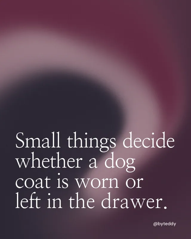 Instagram portrait post for By Teddy: "Small things decide whether a dog coat is worn or left in the drawer." Auto 4x5 style, technique:shader field layout, dark palette in black, pink, grey.