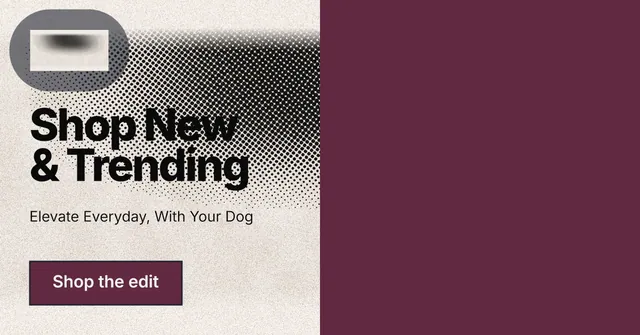 Social ad for By Teddy: "Shop New & Trending". Ink sticker style, bottom layout, dark palette in red, orange, grey.