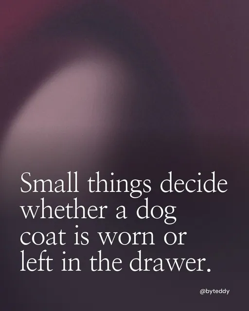 Video for By Teddy: "Small things decide whether a dog coat is worn or left in the drawer.". Shader loop, 6.0 s, dark palette.