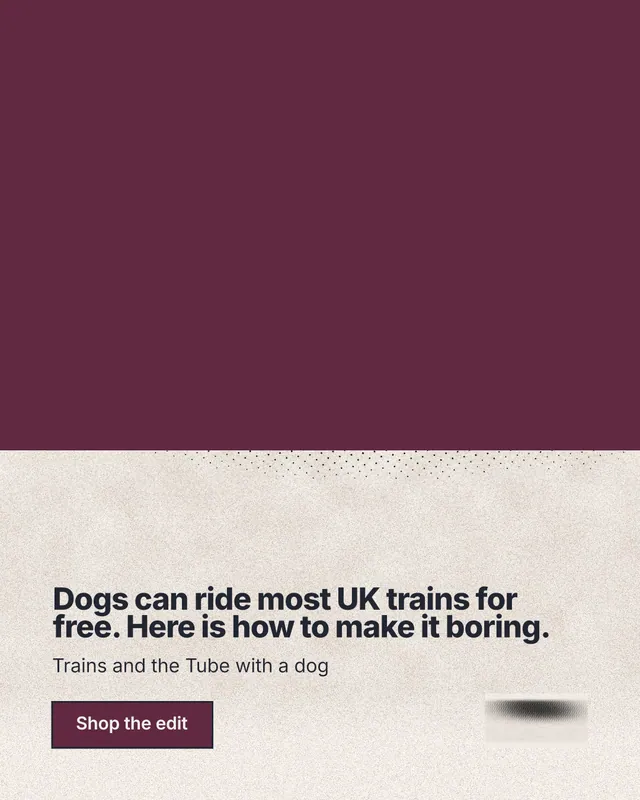Instagram portrait post for By Teddy: "Dogs can ride most UK trains for free. Here is how to make it boring." Ink sticker style, bottom layout, light palette in red, orange.