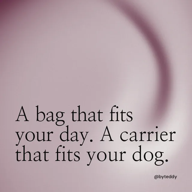 Instagram post for By Teddy: "A bag that fits your day. A carrier that fits your dog." Auto 1x1 style, technique:shader field layout, light palette in grey, white.