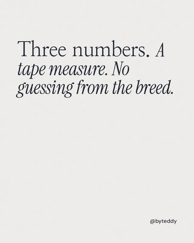 Instagram portrait post for By Teddy: "Three numbers. A tape measure. No guessing from the breed." Editorial style, technique:mixed type lockup layout, light palette in white.