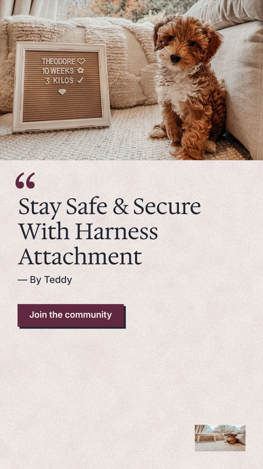 Instagram story for By Teddy: "Stay Safe & Secure With Harness Attachment". Paper trio style, quote layout, light palette in orange, grey, red.